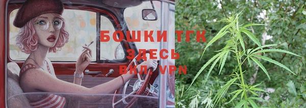 тгк Михайловск