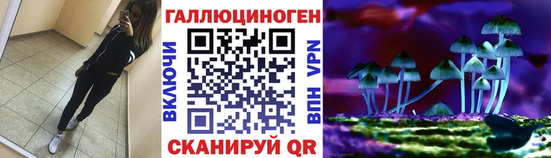 Псилоцибиновые грибы GOLDEN TEACHER  Купить закладки  Краснослободск 